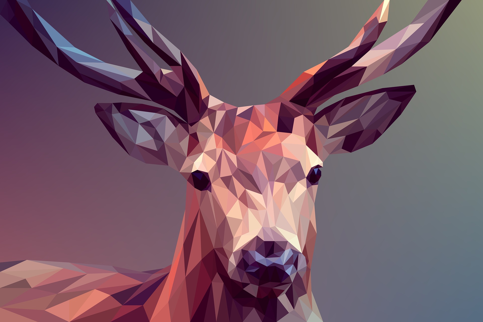 photoshop-and-corel-draw-design